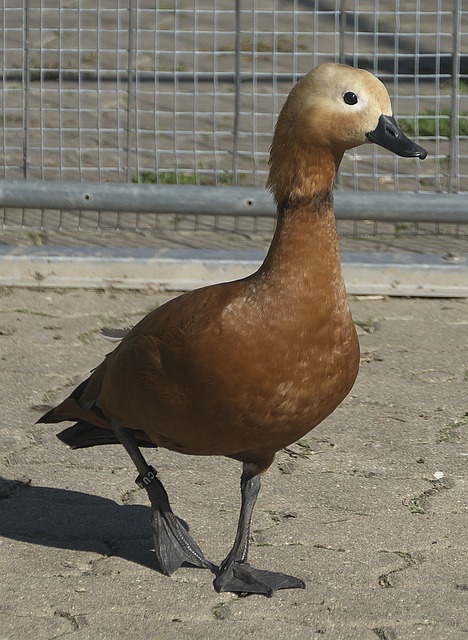 以免错过关