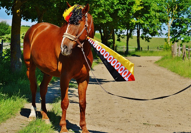 终结了连败 终结了连败