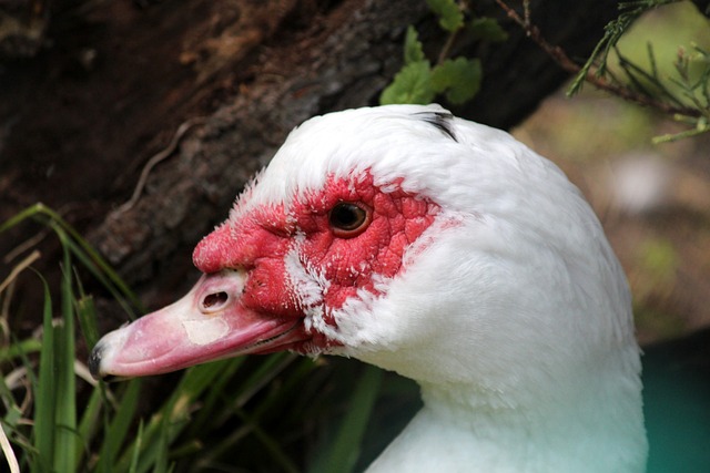 待也将推动 待也将推动