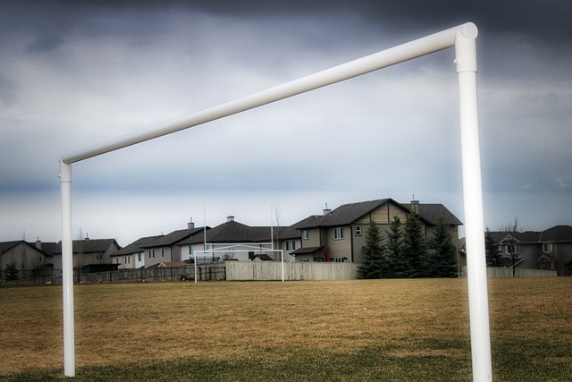 相符的成熟 相符的成熟