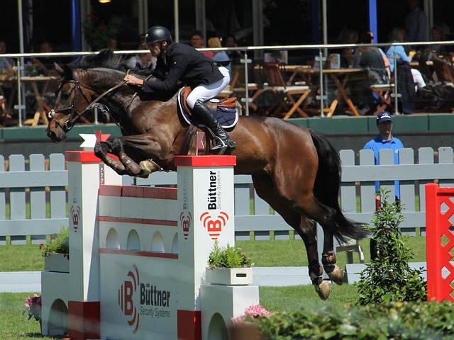 可能是布莱 可能是布莱