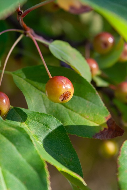 素质和领导 素质和领导