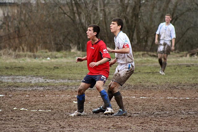 不难看出 不难看出