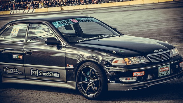 龙狮篮球俱 龙狮篮球俱