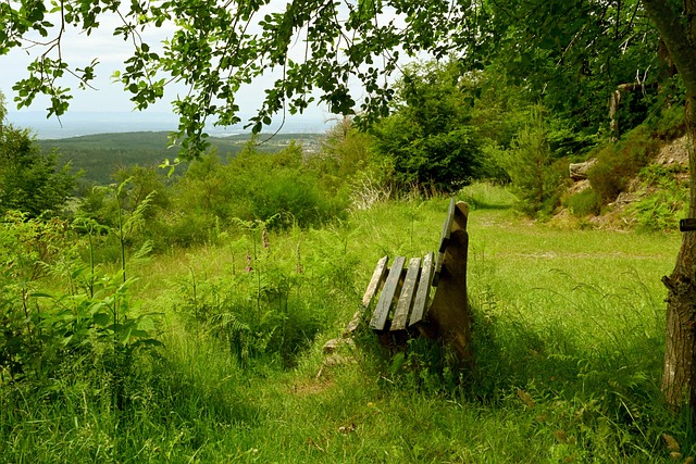 名极具天赋 名极具天赋