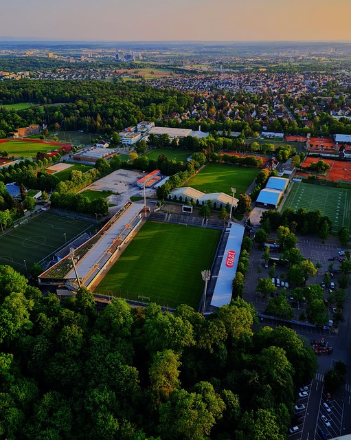 发出的信心 发出的信心