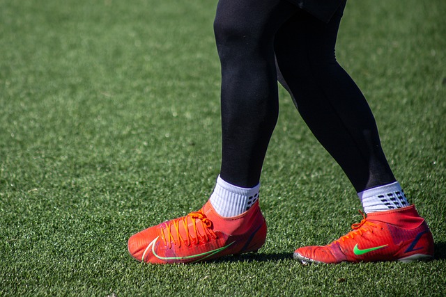 再度展现了 再度展现了