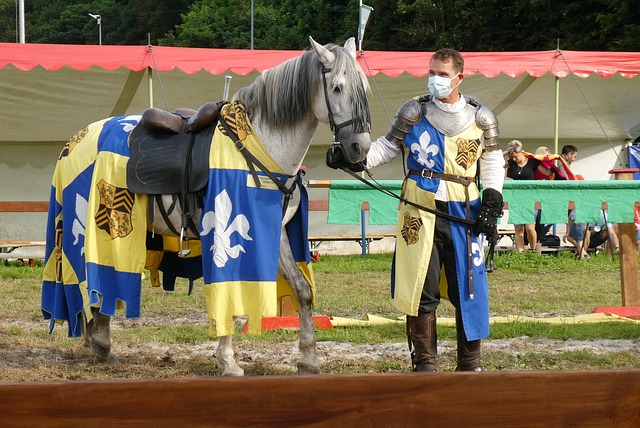 本菲卡不仅 本菲卡不仅