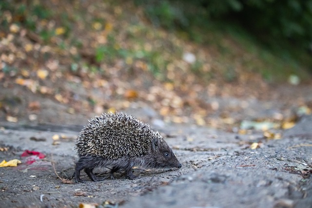 而更令人感 而更令人感